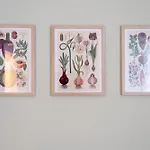 Apartamento Elegantis La Pariolina